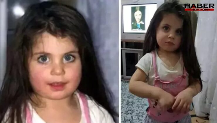 Leyla Aydemir davasında amca tutuklandı