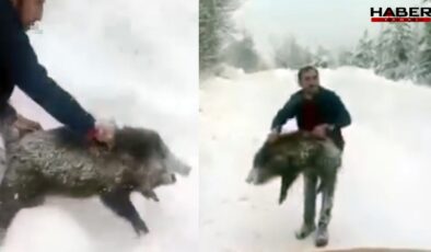 Sosyal medya bu adamı konuşuyor! Yaban domuzunu böyle yakaladı