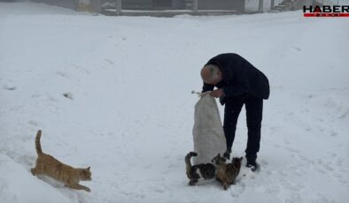 Türkiye’nin bu köyünde kışın sadece bir aile yaşıyor