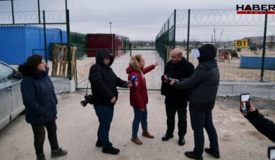 'Aç kalan köpekler birbirini yedi' iddiası