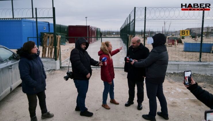 'Aç kalan köpekler birbirini yedi' iddiası