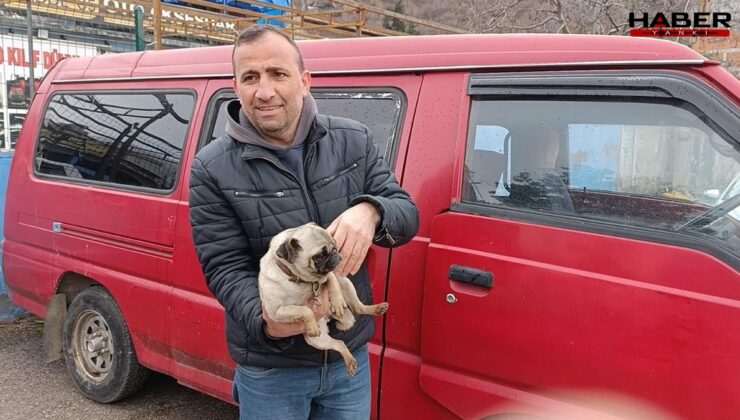 Yangında mahsur kalan yavru köpek kurtarıldı