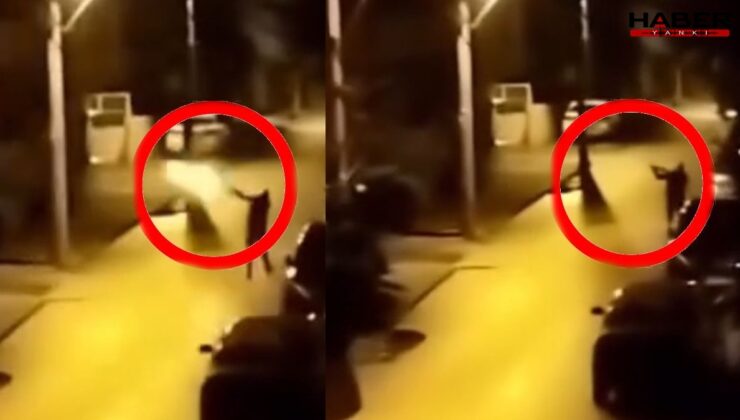 Yılbaşında korkuya neden olmuştu: Yakalandı