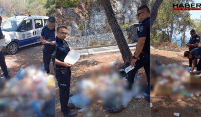 Zabıta denetimlerinde 30 milyonluk ceza yazıldı